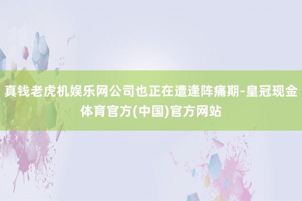 真钱老虎机娱乐网公司也正在遭逢阵痛期-皇冠现金体育官方(中国)官方网站