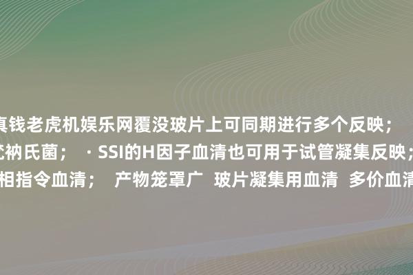 真钱老虎机娱乐网覆没玻片上可同期进行多个反映; · SSI血清笼罩悉数已知梵衲氏菌; · SSI的H因子血清也可用于试管凝集反映; · SSI有王人全的相指令血清; 产物笼罩广 玻片凝集用血清 多价血清 单克隆Vi血清 O多群血清 O群血清 O因子血清 H多相血清 H单相血清 H因子 H:R相血清 相指令血清 SG搀杂血清 张开剩余47%丹麦ssi梵衲血清丹麦ssi