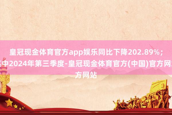 皇冠现金体育官方app娱乐同比下降202.89%；其中2024年第三季度-皇冠现金体育官方(中国)官方网站