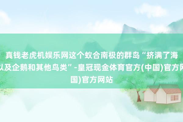 真钱老虎机娱乐网这个蚁合南极的群岛“挤满了海豹以及企鹅和其他鸟类”-皇冠现金体育官方(中国)官方网站